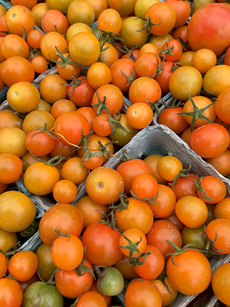 sun_gold_tomatoes